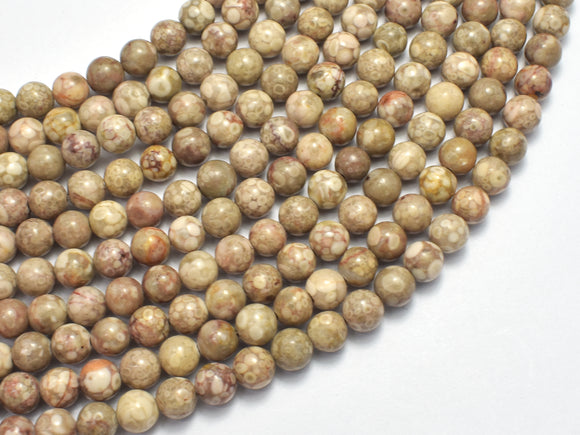 Fossil Jasper Beads, 6mm, Round Beads-BeadBasic