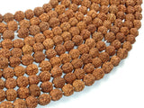 Rudraksha Beads, 7.5mm-8.5mm Round Beads-BeadBasic