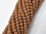 Rudraksha Beads, 6x8mm Rondelle Beads