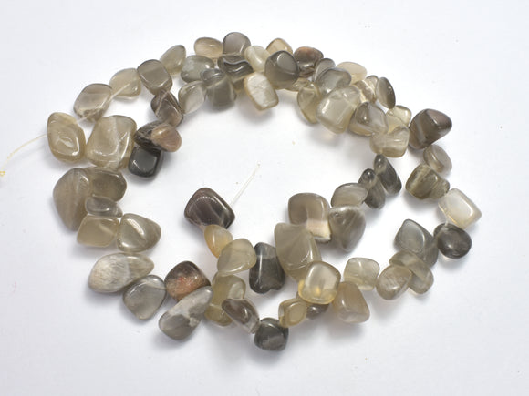 Gray Moonstone, (8-10)x(9-16)mm Free Form Beads-BeadBasic