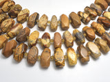Picture Jasper, 10x20mm Faceted Nugget Beads