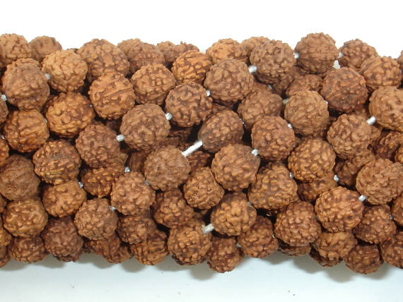 Rudraksha Beads, 7mm-8mm Round Beads-BeadBasic