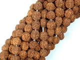 Rudraksha Beads, 7mm-8mm Round Beads