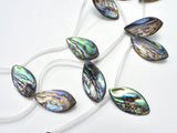 Abalone 13x25mm Curved Marquise Beads, Side Drilled, 14 Inch-BeadBasic