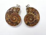 Ammonite Pendant, Fossil Pendant, with Silver Tone Base Metal Bail 1 piece-BeadBasic