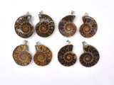 Ammonite Pendant, Fossil Pendant, with Silver Tone Base Metal Bail 1 piece-BeadBasic