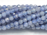 Tanzanite 2.5mm Micro Faceted Round-BeadBasic