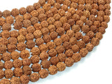 Rudraksha Beads, 7mm-8mm Round Beads