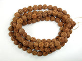 Rudraksha Beads, 7mm-8mm Round Beads