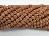 Rudraksha Beads, 6x8mm Rondelle Beads