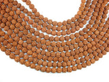 Rudraksha Beads, 9.5mm-10.5mm Round Beads-BeadBasic