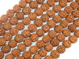 Rudraksha Beads, 9.5mm-10.5mm Round Beads-BeadBasic