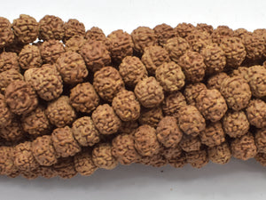 Rudraksha Beads, Approx 7x8mm Rondelle Beads, 29-31 Inch,-BeadBasic