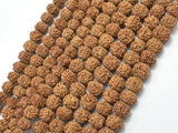Rudraksha Beads, Approx 7x8mm Rondelle Beads, 29-31 Inch,-BeadBasic