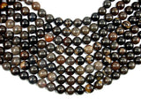 Petrified Wood Jasper, 12mm Round Beads-BeadBasic