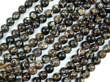 Turritella Agate, Elimia Tenera Fossil Shell, 6mm(6.4mm) Round Beads-BeadBasic