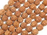 Rudraksha Beads, 9mm-9.5mm Round Beads-BeadBasic