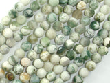 Matte Tree Agate Beads, Round, 6mm-BeadBasic