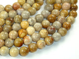 Fossil Coral Beads, 10mm, Round Beads-BeadBasic