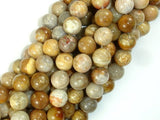 Fossil Coral Beads, 10mm, Round Beads-BeadBasic