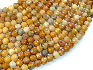 Crazy Lace Agate Beads, 6mm Faceted Round-BeadBasic