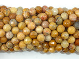 Crazy Lace Agate Beads, 6mm Faceted Round-BeadBasic