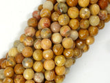 Crazy Lace Agate Beads, 6mm Faceted Round-BeadBasic