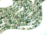 Tree Agate Beads, Round, 8mm-BeadBasic