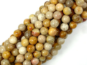 Fossil Coral Beads, 7mm, Round Beads-BeadBasic