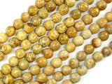 Fossil Coral Beads, 8mm Round Beads-BeadBasic