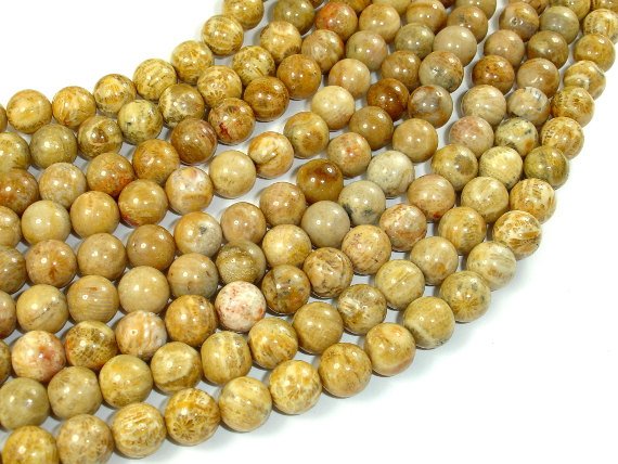 Fossil Coral Beads, 8mm Round Beads-BeadBasic