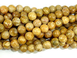 Fossil Coral Beads, 8mm Round Beads-BeadBasic