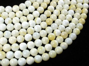 Tridacna Shell, 8mm Round Beads-BeadBasic