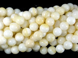 Tridacna Shell, 8mm Round Beads-BeadBasic